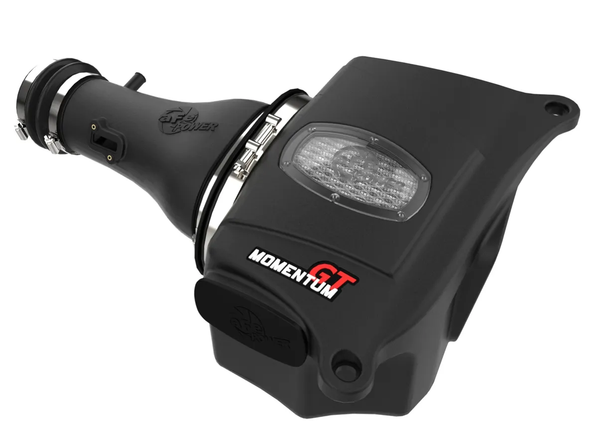 Momentum GT Cold Air Intake System w/Pro DRY S Filter (+19 hp & +29 lb-ft)