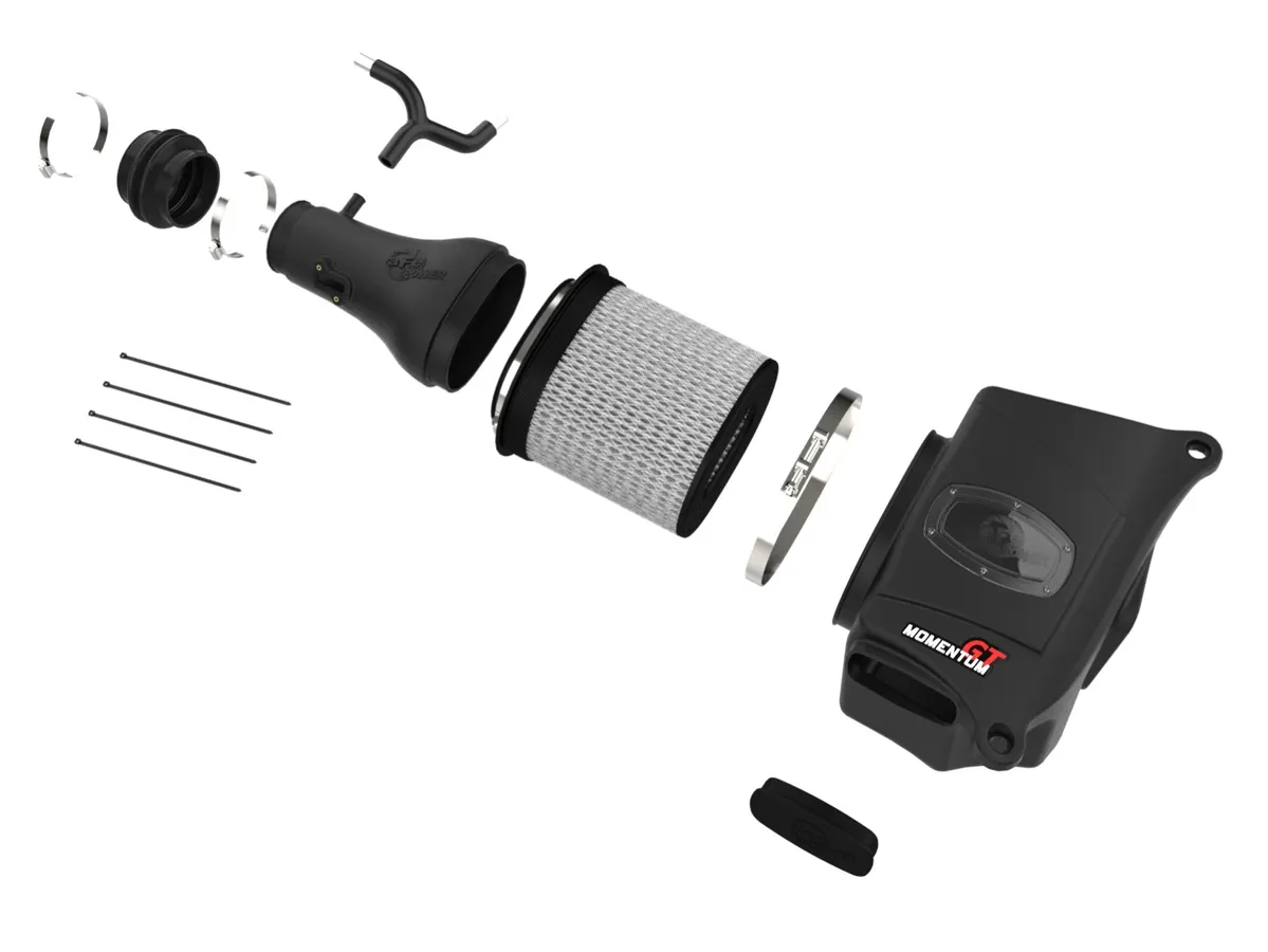 Momentum GT Cold Air Intake System w/Pro DRY S Filter (+19 hp & +29 lb-ft)